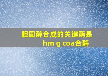 胆固醇合成的关键酶是hm g coa合酶